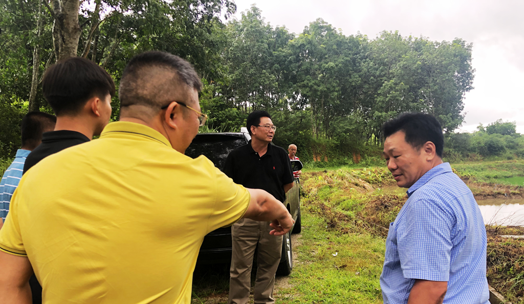 尊龙凯时 - 人生就是搏!