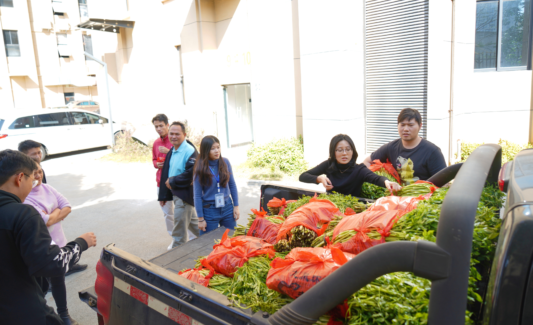 尊龙凯时 - 人生就是搏!