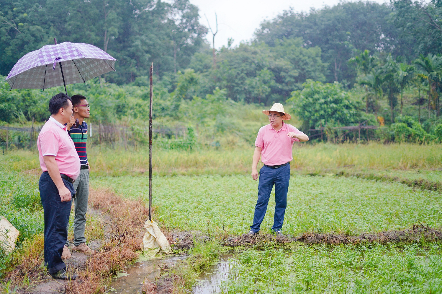 尊龙凯时 - 人生就是搏!